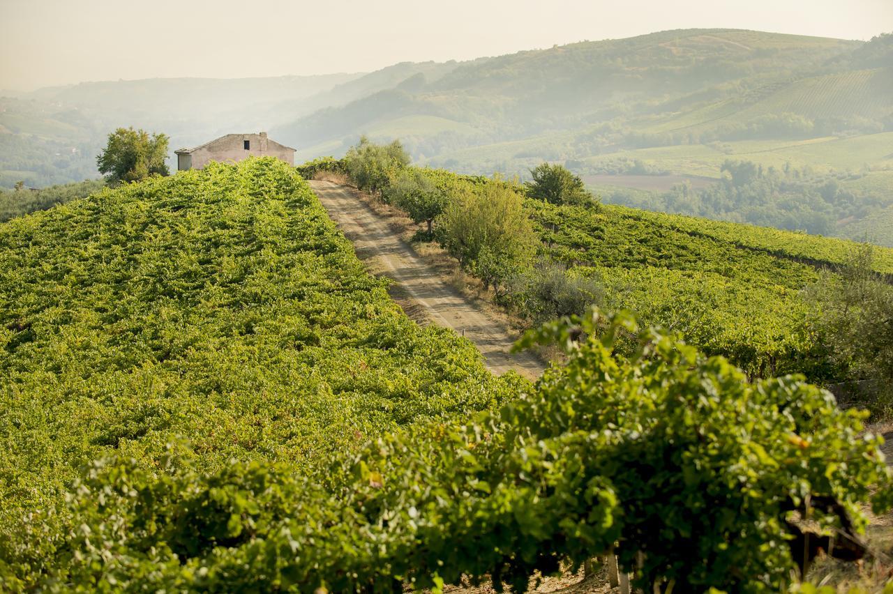 Baldovino B&B Villamagna  Eksteriør billede